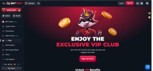 BetFury VIP-program