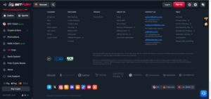 BetFury Insättningar och uttag