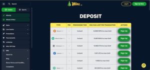 Winz.io Insättningar och uttag